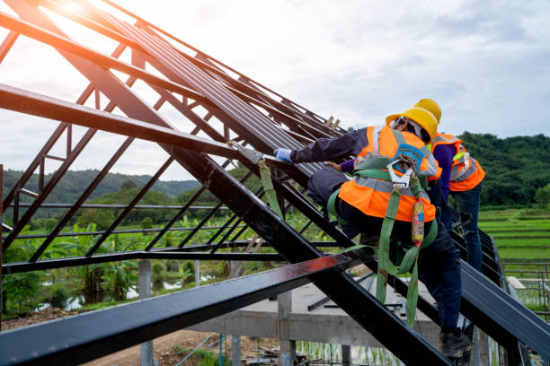 Best Local Roofing Companies  in Manistee, MI