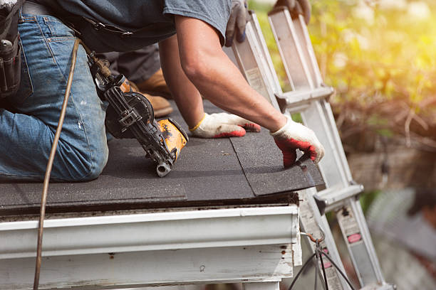 Best Gutter Installation and Roofing  in Manistee, MI